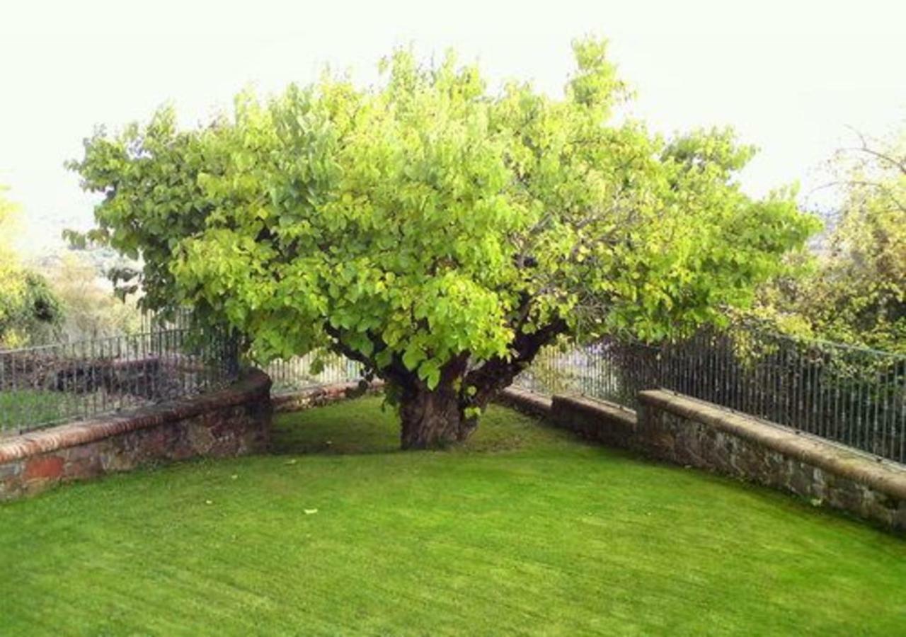 El Rasillo El Patio De La Morera מראה חיצוני תמונה